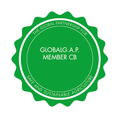 frutas falco Certificado Global Gap