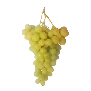 uva vinalopo variedad Doña María frutas falco novelda
